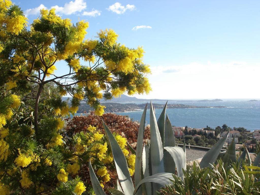 T2 Bandol Ideal Vacances 2 Etoiles Buitenkant foto