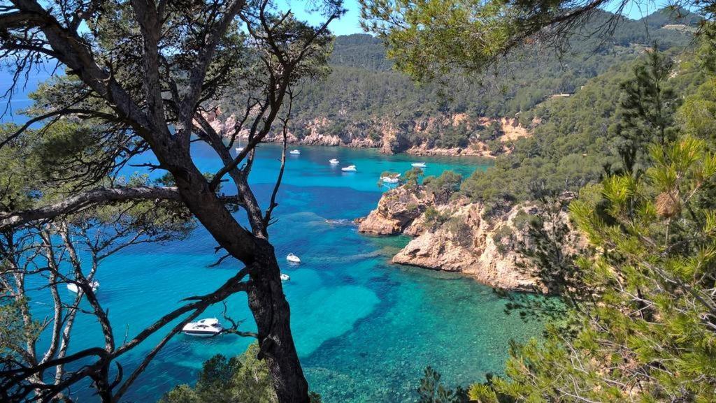 T2 Bandol Ideal Vacances 2 Etoiles Buitenkant foto